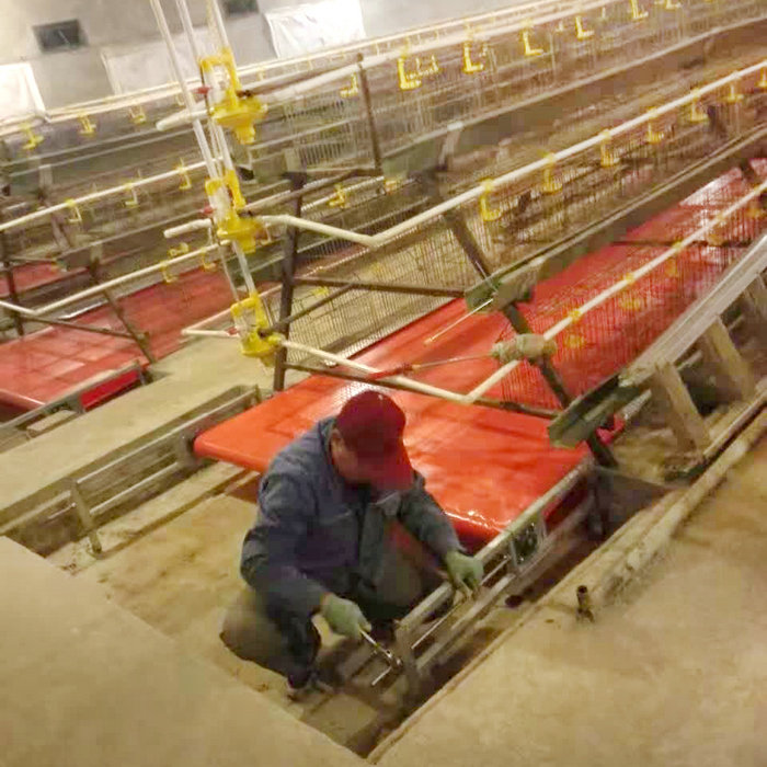 PVC自動清糞機 (5).jpg